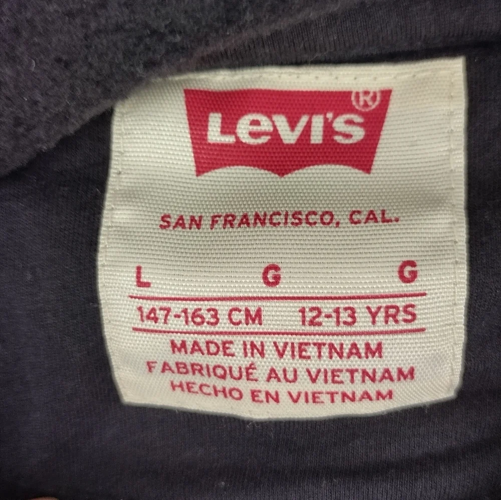 Vtg Levi's SILVERTAB Hoodie Mens Large Gray Spell Out Graphic Pullover Casual